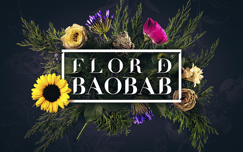 Flor de Baobab