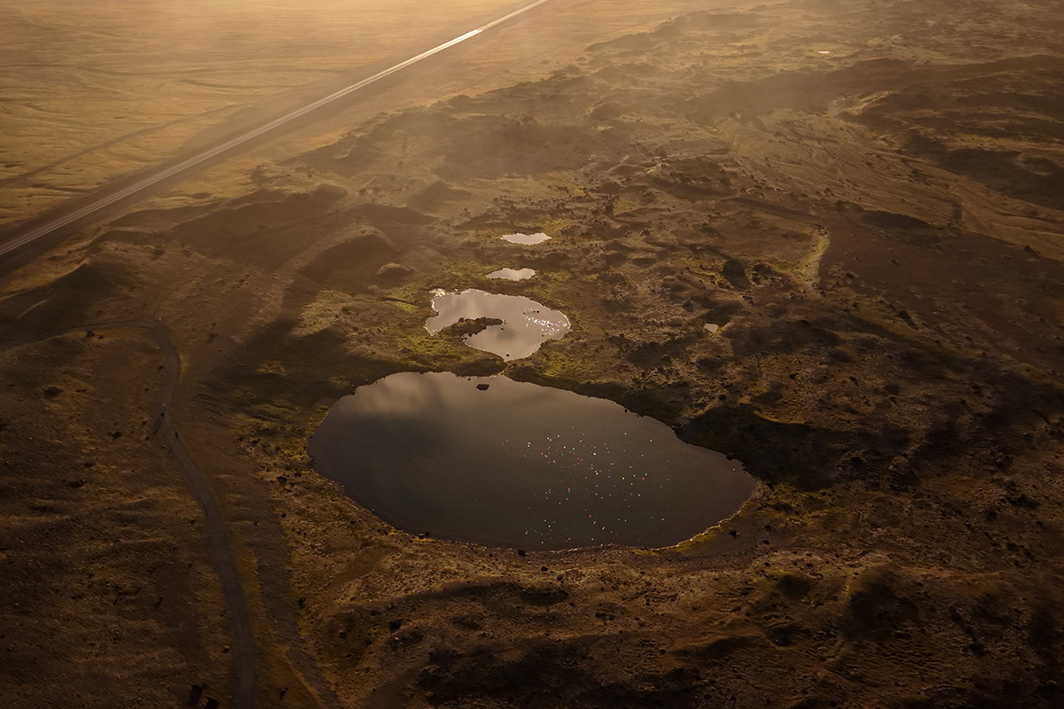 Martin Miller's Gin Islandia por Yunyas Media